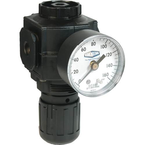 Series 1 Compact Regulator, 1/2" NPT, 150 PSI Max. PSI, Standard Equipex