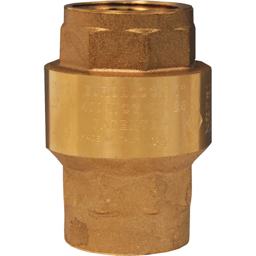 Horizontal Swing Check Valve Equipex