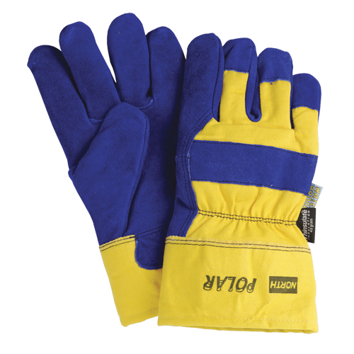 Insulated Gloves, One Size, Split Leather Palm, Thinsulate Inner Lining Equipex
