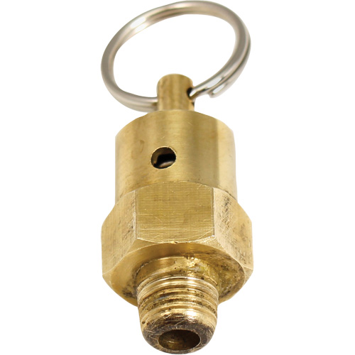 Viton&reg; Pressure Relief Valve Equipex