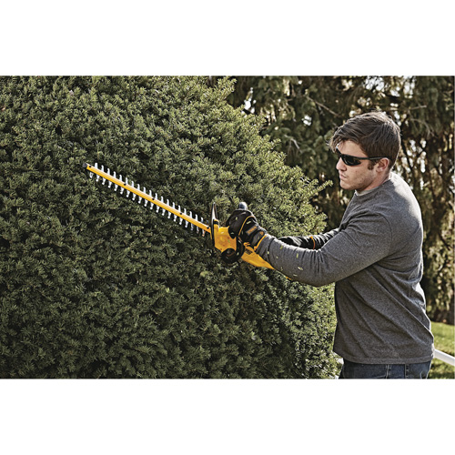Taille-haie MAX*, 22", 20 V, &agrave; pile Equipex