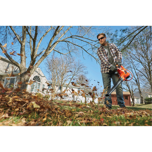 3-in-1 VacPack Leaf Blower/Vacuum/Mulcher, 250 MPH Output, Electric Equipex