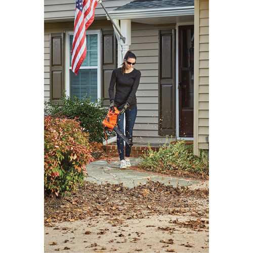 3-in-1 VacPack Leaf Blower/Vacuum/Mulcher, 250 MPH Output, Electric Equipex