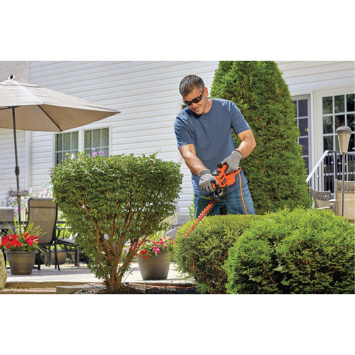 Hedge Trimmer, 17", Electric Equipex