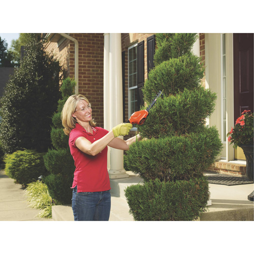 Cisailles de jardin/cisailles &agrave; haie 2-en-1, &agrave; pile, 3,6 V, Largeur de la coupe 4"/6" Equipex