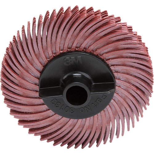 Disque &agrave; soies radiales, RB- ZB Scotch-Brite, C&eacute;ramique, Grain 220, 2" dia. Equipex