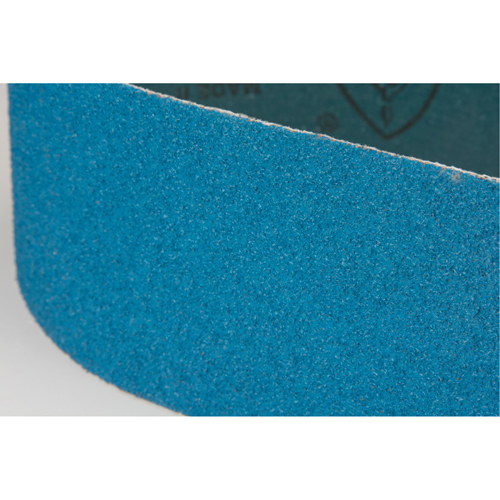 Courroie abrasive bleu Equipex