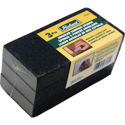 Angled Sanding Sponge Equipex