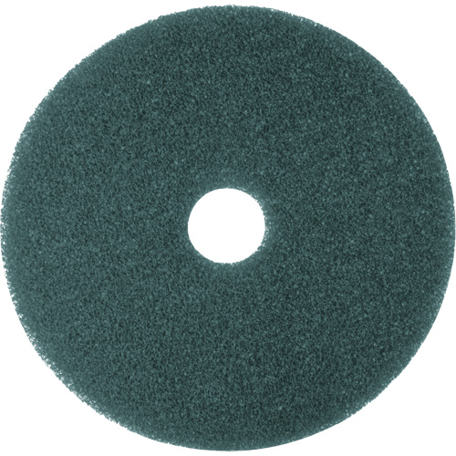 Cleaner Pad, 13", Scrubbing, Blue Equipex