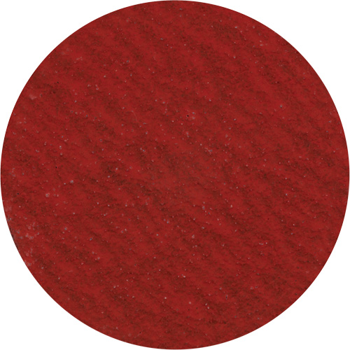 Disque de ponçage 3" &agrave; support verrouillable, 3" dia., Grain 36, C&eacute;ramique Equipex