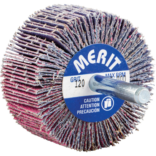 Shank Mounted Mini Flap Wheel, Ceramic Alumina, 120 Grit, 2" x 1" x 1/4" Equipex