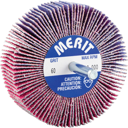 Mini-meule &agrave; lamelles mont&eacute;e sur tige, C&eacute;ramique d'alumine, Grain 60, 3" x 1" x 1/4" Equipex