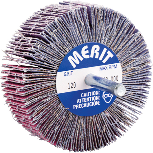 Shank Mounted Mini Flap Wheel, Ceramic Alumina, 120 Grit, 3" x 1" x 1/4" Equipex