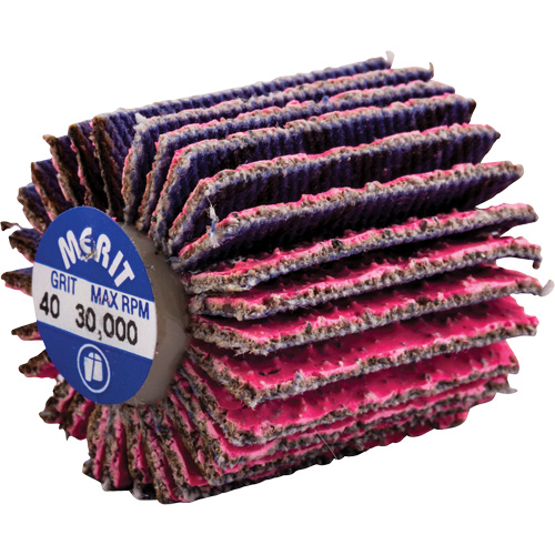 Threaded Mini Flap Wheel, Ceramic Alumina, 40 Grit, 1" x 1" x 1/4"-20 Equipex