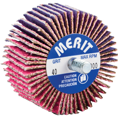 Threaded Mini Flap Wheel, Ceramic Alumina, 40 Grit, 2" x 1" x 1/4"-20 Equipex