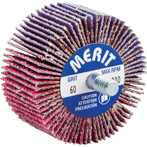 Threaded Mini Flap Wheel, Ceramic Alumina, 60 Grit, 2" x 1" x 1/4"-20 Equipex