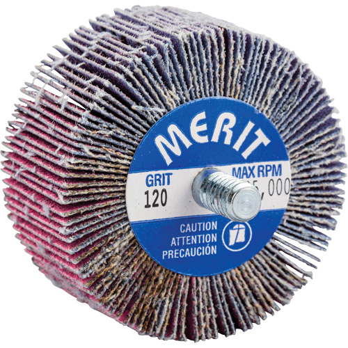 Threaded Mini Flap Wheel, Ceramic Alumina, 120 Grit, 2" x 1" x 1/4"-20 Equipex