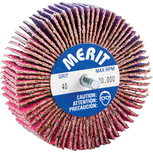 Mini-meule &agrave; lamelles filet&eacute;es, C&eacute;ramique d'alumine, Grain 40, 3" x 1" x 1/4"-20 Equipex