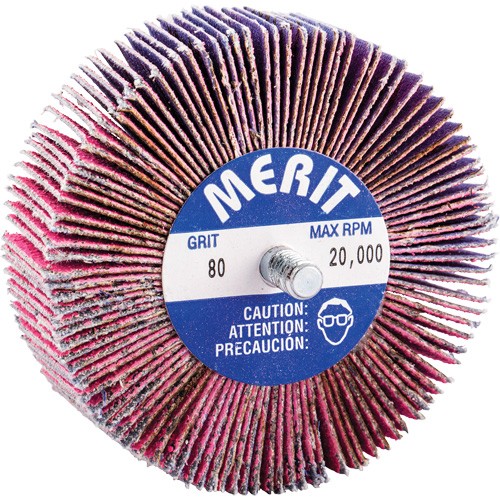 Threaded Mini Flap Wheel, Ceramic Alumina, 80 Grit, 3" x 1" x 1/4"-20 Equipex