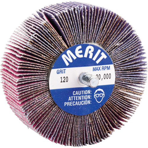 Threaded Mini Flap Wheel, Ceramic Alumina, 120 Grit, 3" x 1" x 1/4"-20 Equipex