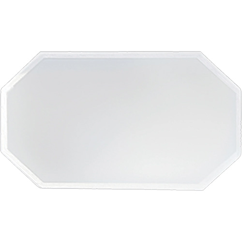 Replacement Plastic Shield for Suction & Pressure Cabinets Equipex