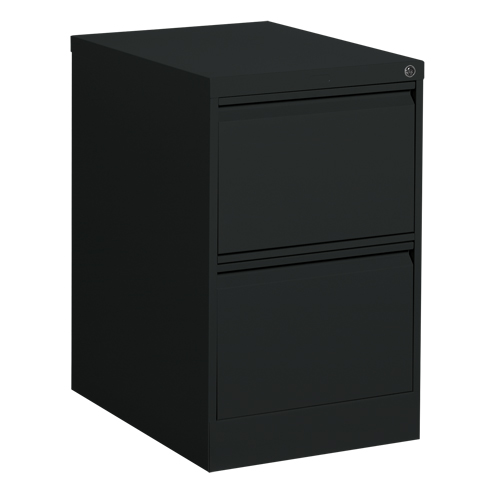 Classeur vertical, Acier, 2 tiroirs, 18-1/7" la x 25" p x 29" h, Noir Equipex