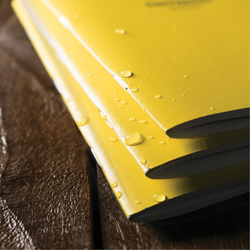 Carnet de notes, Couverture souple, Jaune, 48 Pages, 4-5/8" , 7"  Equipex