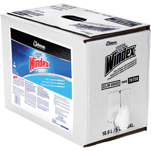 Nettoyant pour vitres Windex avec Ammoniac-D, 5 gal., Sac Equipex