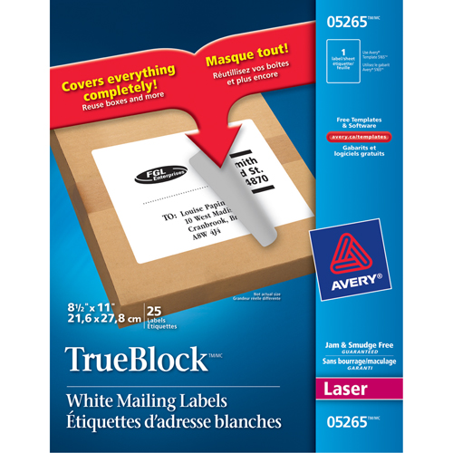 &eacute;tiquettes d'exp&eacute;dition au laser TrueBlock, 11" la x 8,5" la x Blanc Equipex