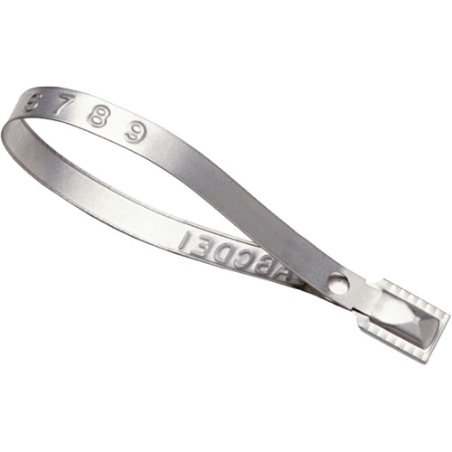 Scell&eacute;s Guard Lock, 8-3/8", M&eacute;tal, Scell&eacute; pour camion Equipex