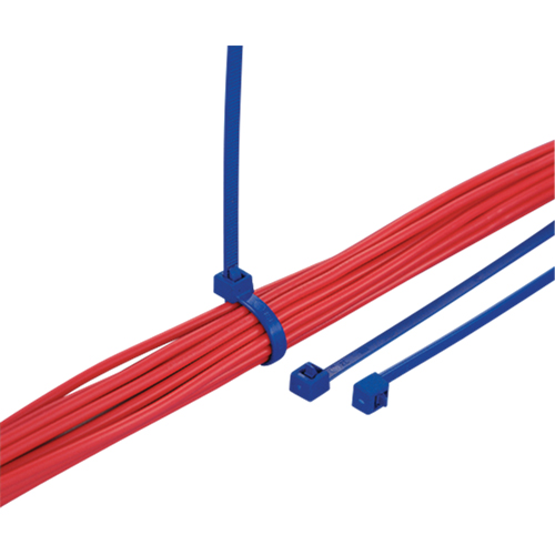 Metal Detectable Cable Ties, 5-9/10" L, 30 lbs. Tensile Strength Equipex