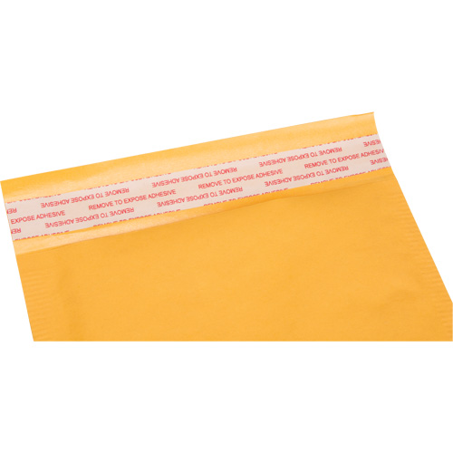 Enveloppes postales coussin&eacute;es, Kraft, 6" la x 10" lo Equipex