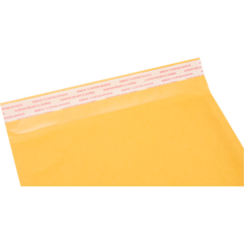 Enveloppes postales coussin&eacute;es, Kraft, 8-1/2" la x 14-1/4" lo Equipex