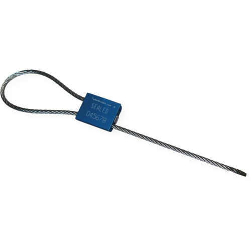 Scell&eacute; de s&eacute;curit&eacute; &agrave; c&acirc;ble Flexsecure FS35, 12", M&eacute;tal, Scell&eacute; &agrave; c&acirc;ble Equipex
