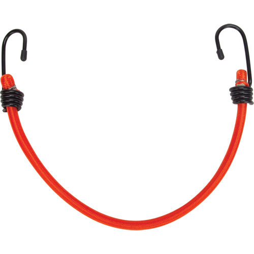 Sangles d'arrimage &eacute;lastiques, 12" Equipex