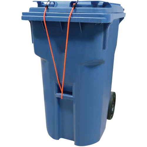 Sangles d'arrimage &eacute;lastiques, 12" Equipex