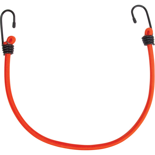 Sangles d'arrimage &eacute;lastiques, 18" Equipex