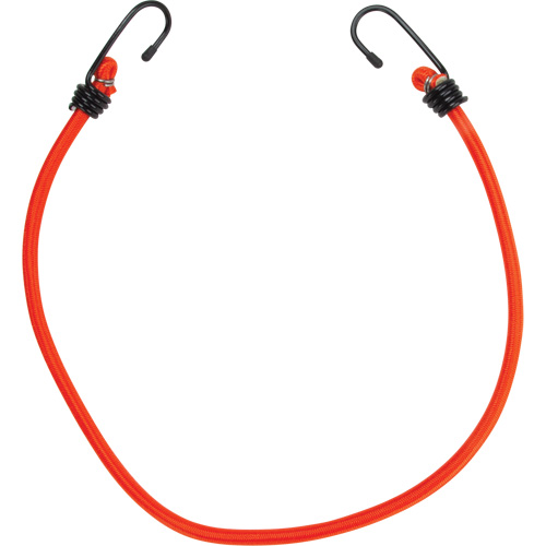 Sangles d'arrimage &eacute;lastiques, 24" Equipex