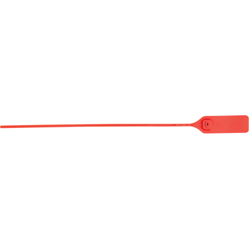 Heavy-Duty Security Seal, 13", Plastic, Pull-Up Seal Equipex