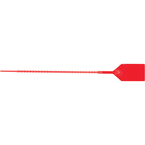 Scell&eacute; de s&eacute;curit&eacute; standard, 9", Plastique, Scell&eacute; en plastique Equipex