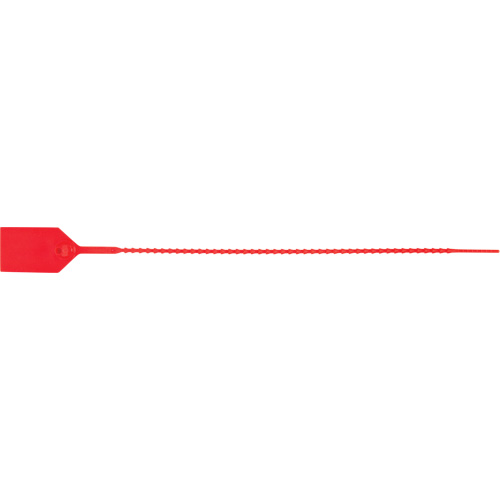 Scell&eacute; de s&eacute;curit&eacute; standard, 12", Plastique, Scell&eacute; en plastique Equipex