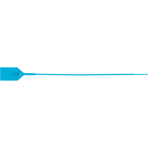 Scell&eacute; de s&eacute;curit&eacute; standard, 12", Plastique, Scell&eacute; en plastique Equipex