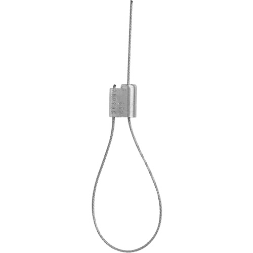 Cable Lock Seals Equipex