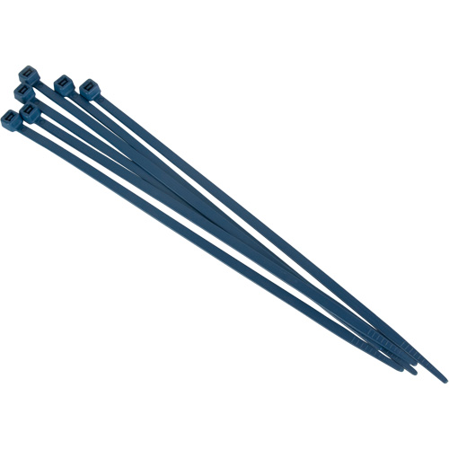 Attache-c&acirc;bles d&eacute;tectables par d&eacute;tecteur de m&eacute;taux, 6" lo, R&eacute;sistance &agrave; la traction 120 lb Equipex