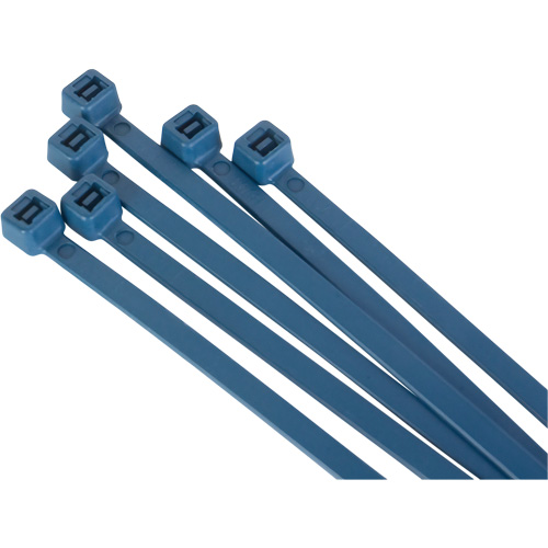 Attache-c&acirc;bles d&eacute;tectables par d&eacute;tecteur de m&eacute;taux, 6" lo, R&eacute;sistance &agrave; la traction 120 lb Equipex
