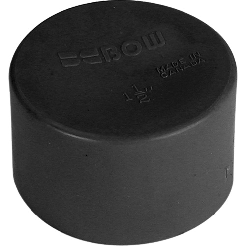 Soft Polyethylene-Blue Test Cap, 1-1/4", Standard, Plastic Equipex