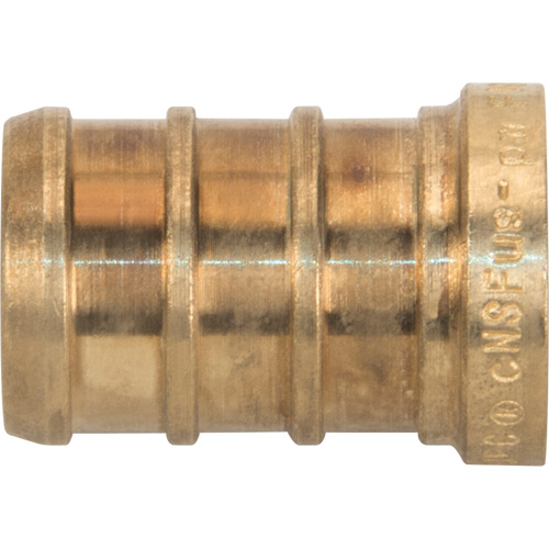 Capuchon de tuyau sans plomb, Tuyau, 1/2" dia., Laiton Equipex