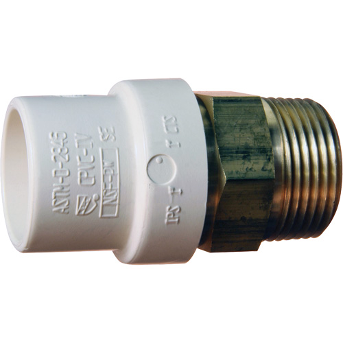 Adaptateur de tuyau filet&eacute;, Noeud x MPT, 1" dia., Laiton/PVC-C Equipex