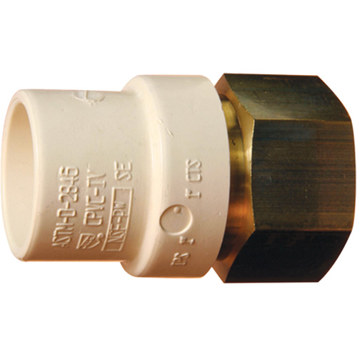 Adaptateur de tuyau filet&eacute;, Noeud x FPT, 1-1/4" dia., Laiton/PVC-C Equipex