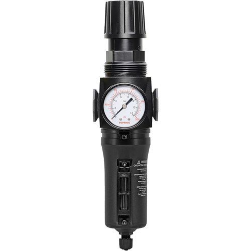 Filtre/r&eacute;gulateur drain manuel avec bol en m&eacute;tal Modulair 300, 1/4" NPT, 250 PSI, Capacit&eacute; de 5,1 oz liq. Equipex